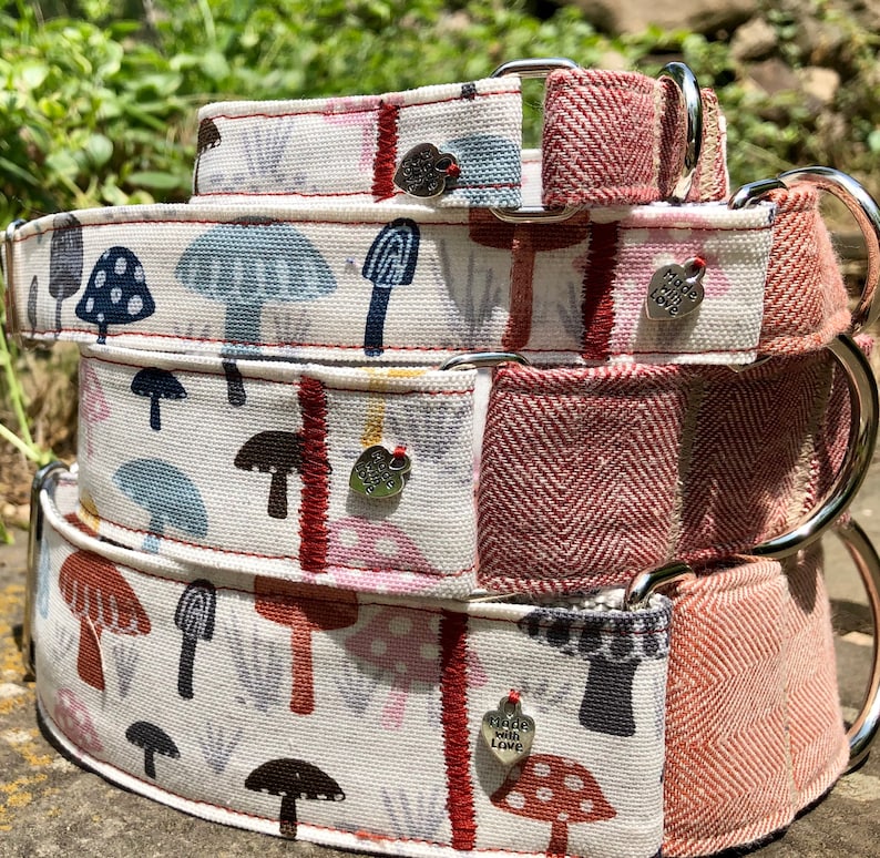 Wild Mushroom martingale dog collar
