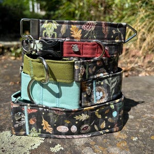 Forest Floor dog collar