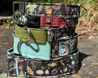 Forest Floor dog collar