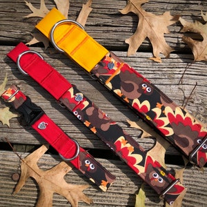Cartoon turkeysdog collar