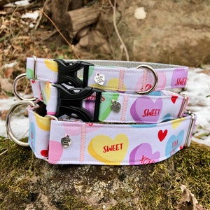 Conversation hearts dog collar