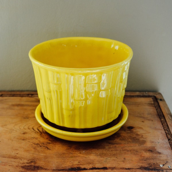 McCoy Gelber McCoy-Übertopf mit Untertasse - Bambusmuster - Vintage-Blumentopf 21 cm Durchmesser, Vintage McCoy, gelbe Keramik