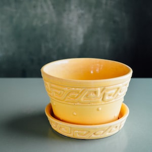 May include: A yellow ceramic planter with a matching saucer. The planter has a decorative geometric pattern around the rim and a series of small dots. The set is designed for indoor or outdoor use.