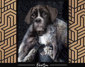 Custom Pet Portrait . Game of Throne Pet Portrait . Jon Snow Portrait . Jon Snow Costume . unique pet portrait . Funny Pet Portrait . GoT4