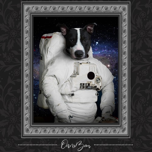 Custom Astronaut Pet Portrait . Custom Pet Astronaut Portrait - Etsy Custom Astronaut Pet Portrait . Custom Pet Astronaut Portrait - Etsy