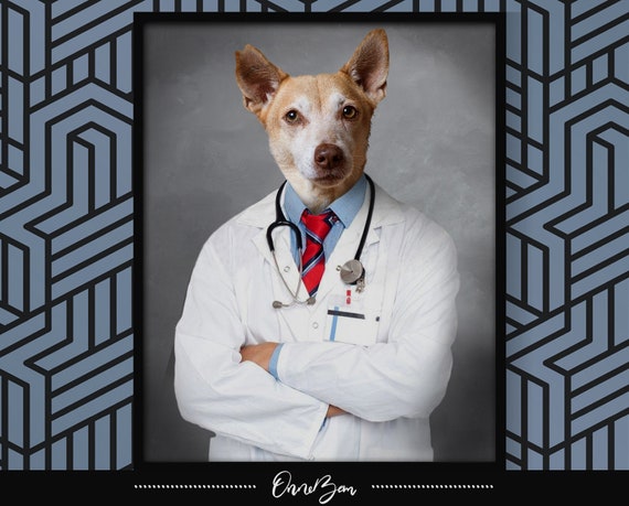dog doctor doctor