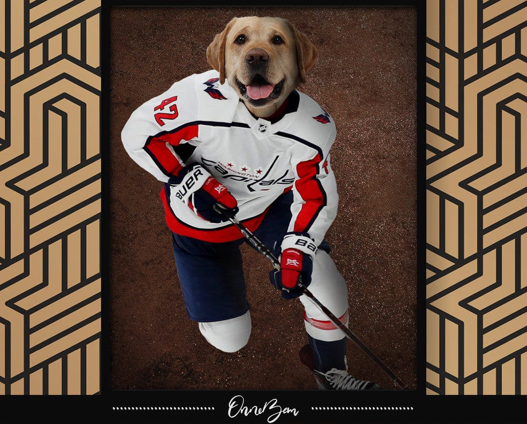 Washington Capitals Pet Tag Collar Charm Hockey Dog Cat - Pick