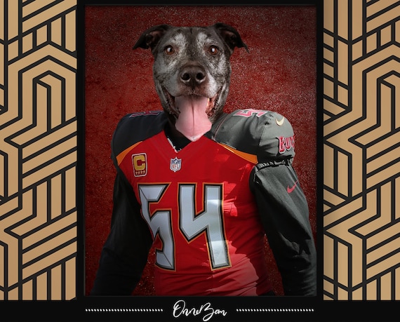 tampa bay bucs dog jersey