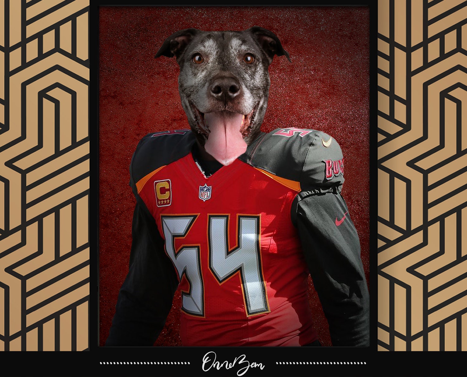 Custom American Football Jersey Pet Portrait . Custom Tampa 