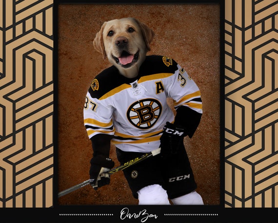 boston bruins dog jersey