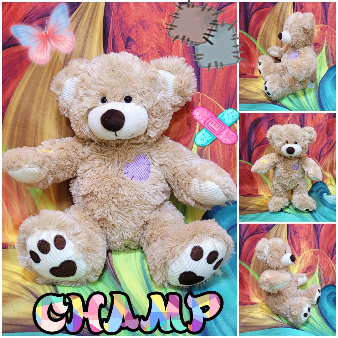 Build a Bear Workshop Patches Teddy 16