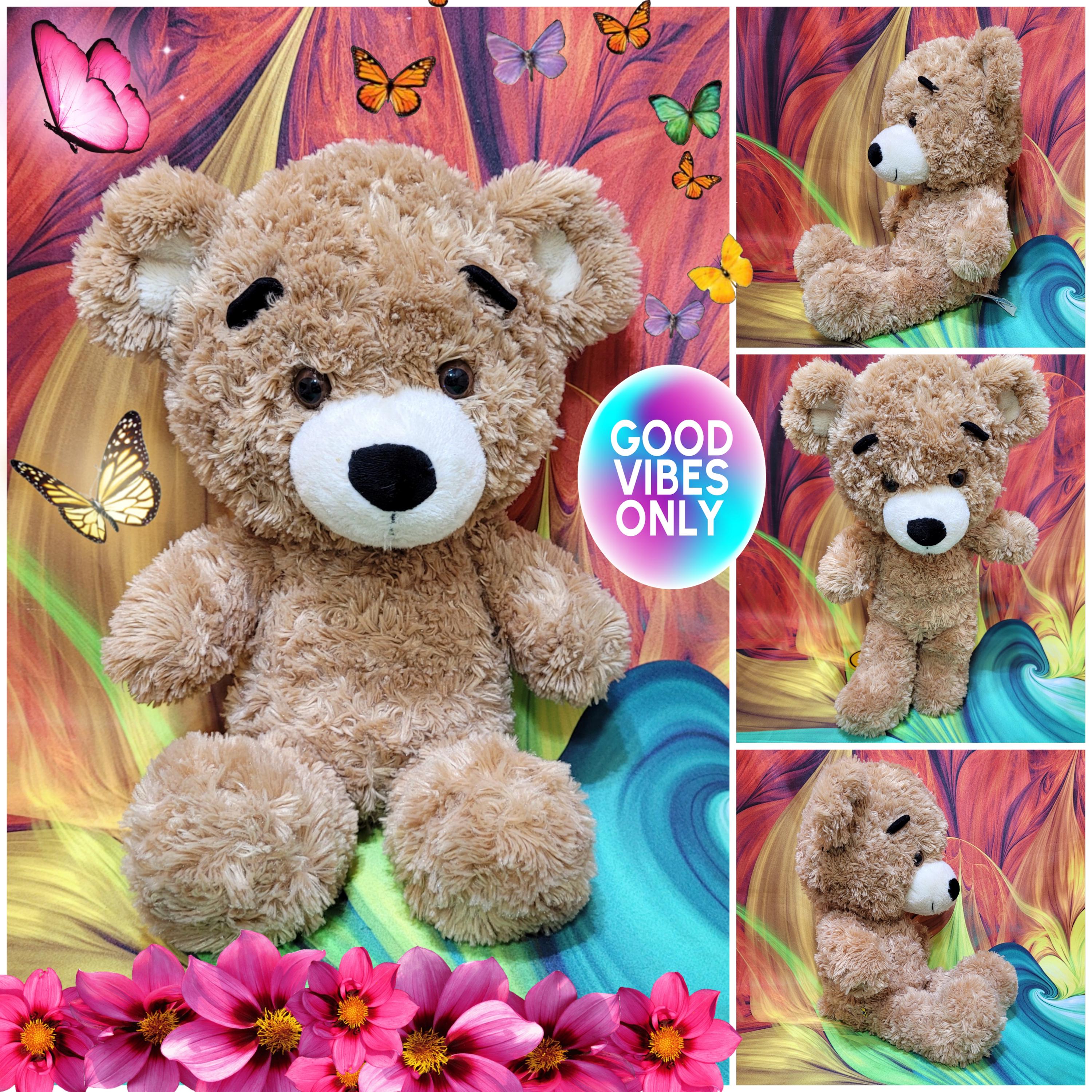 Build-a-bear Bearemy 2013 School Cool Big Head Shaggy Teddy 16