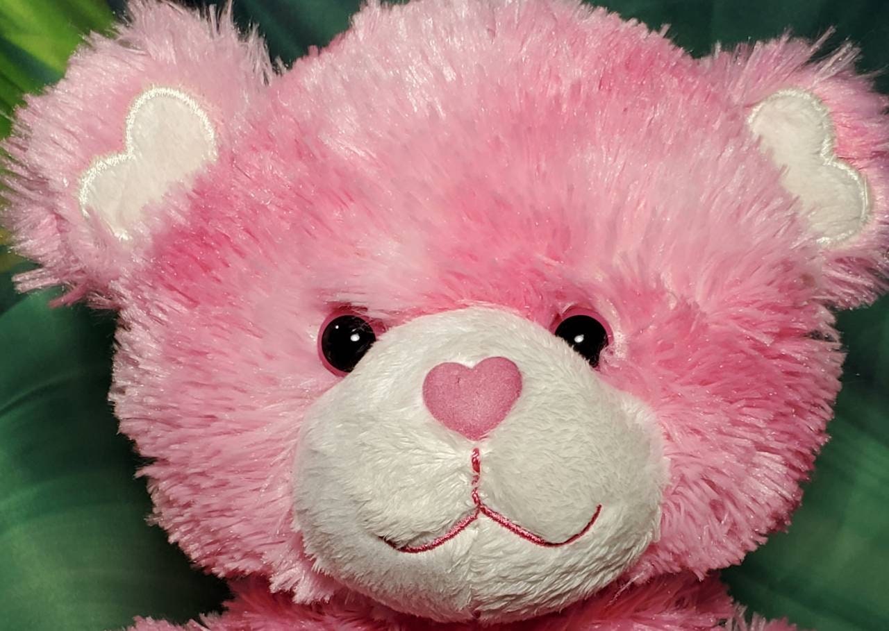 16 Build A Bear Pink Endless Hearts Super Soft Plush Stuffed Teddy