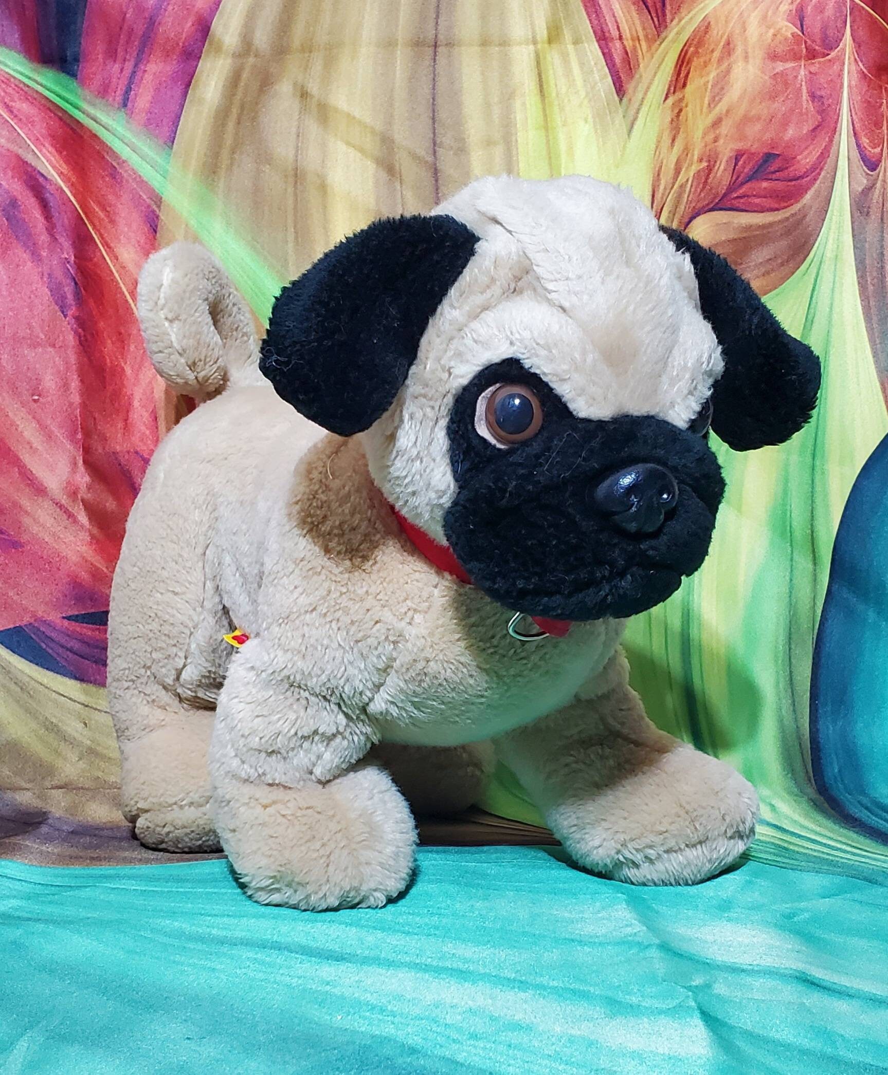 pug teddy