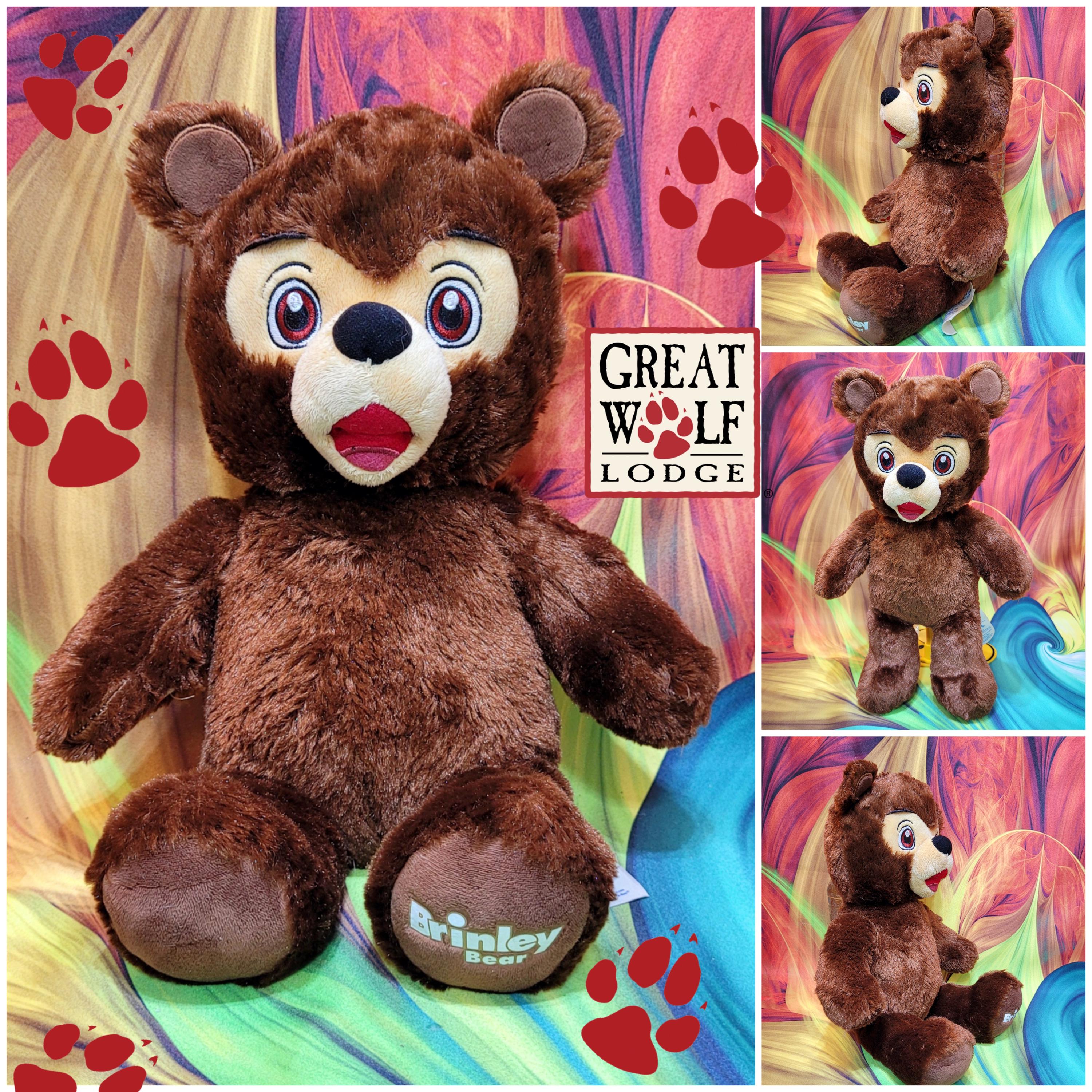Build-a-bear Workshop BRINLEY Great Wolf Lodge 16