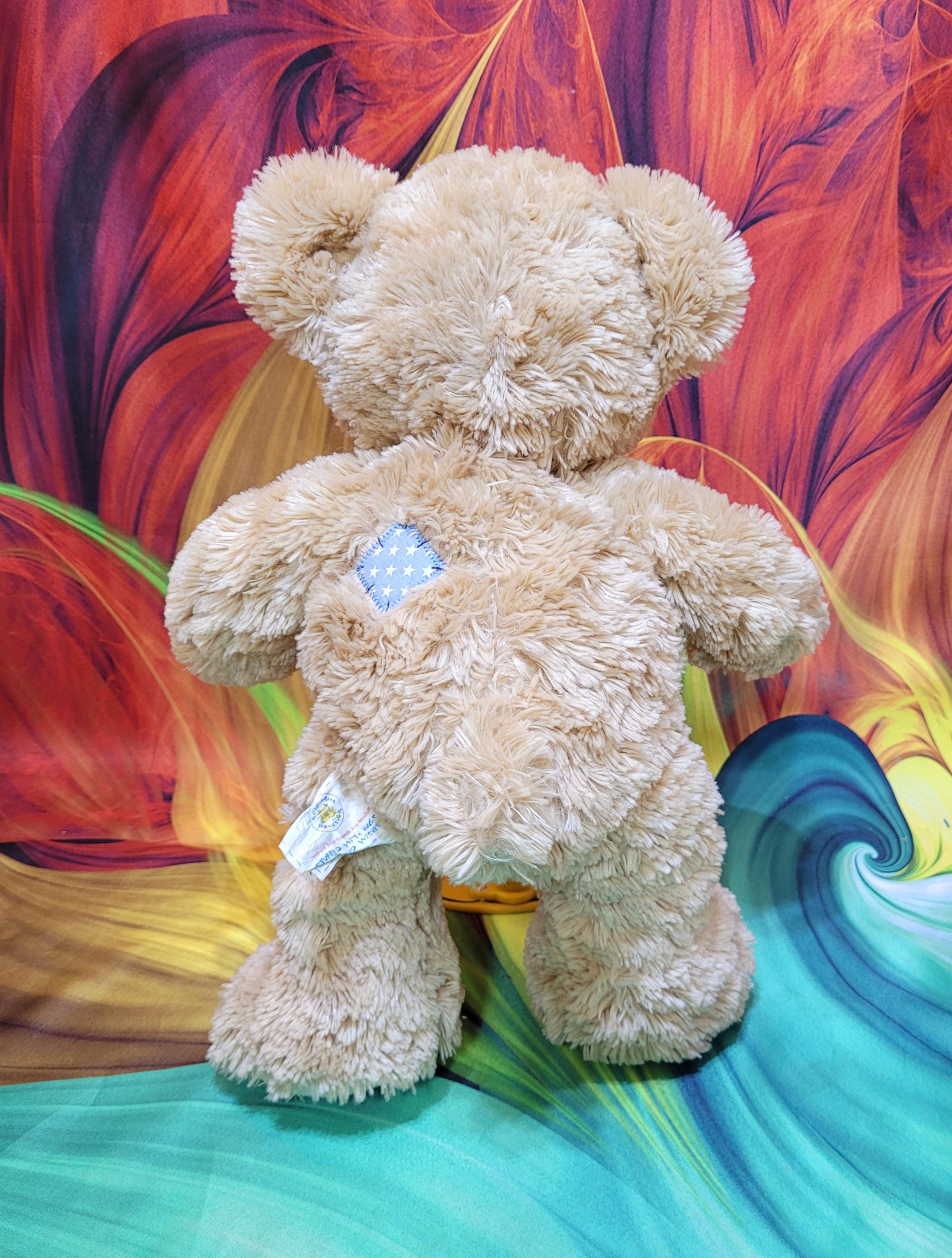 Build a Bear Workshop Patches Teddy 16