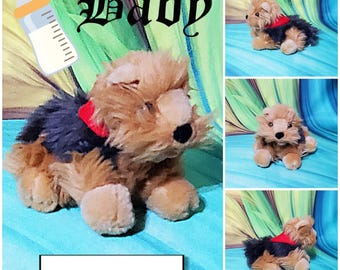 Construye un oso bebé Yorkshire Terrier Yorkie Mini cachorro perro peluche amigos
