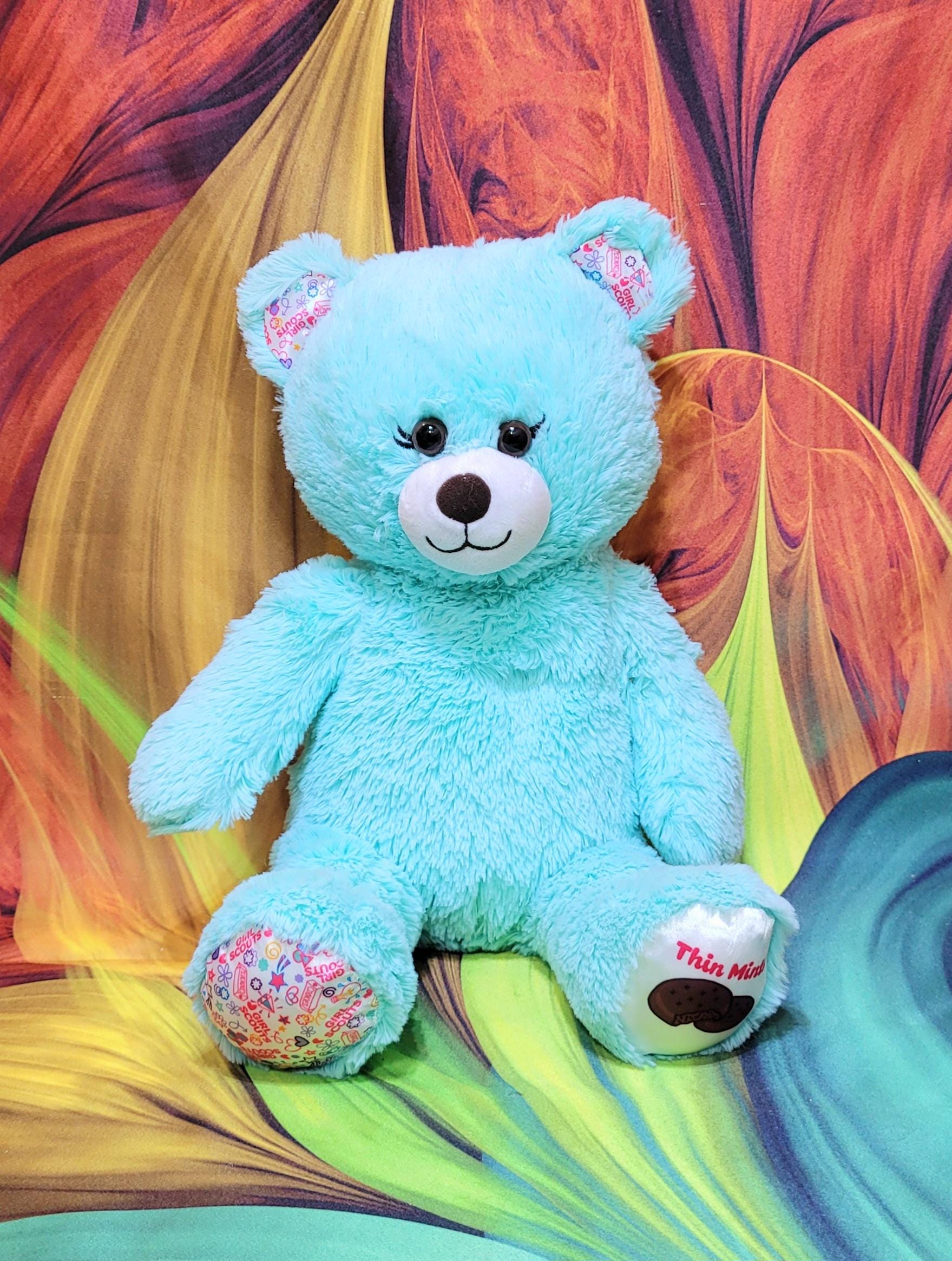 Build A Bear Workshop Girl Scouts Thin Mints Cookie Teal 16