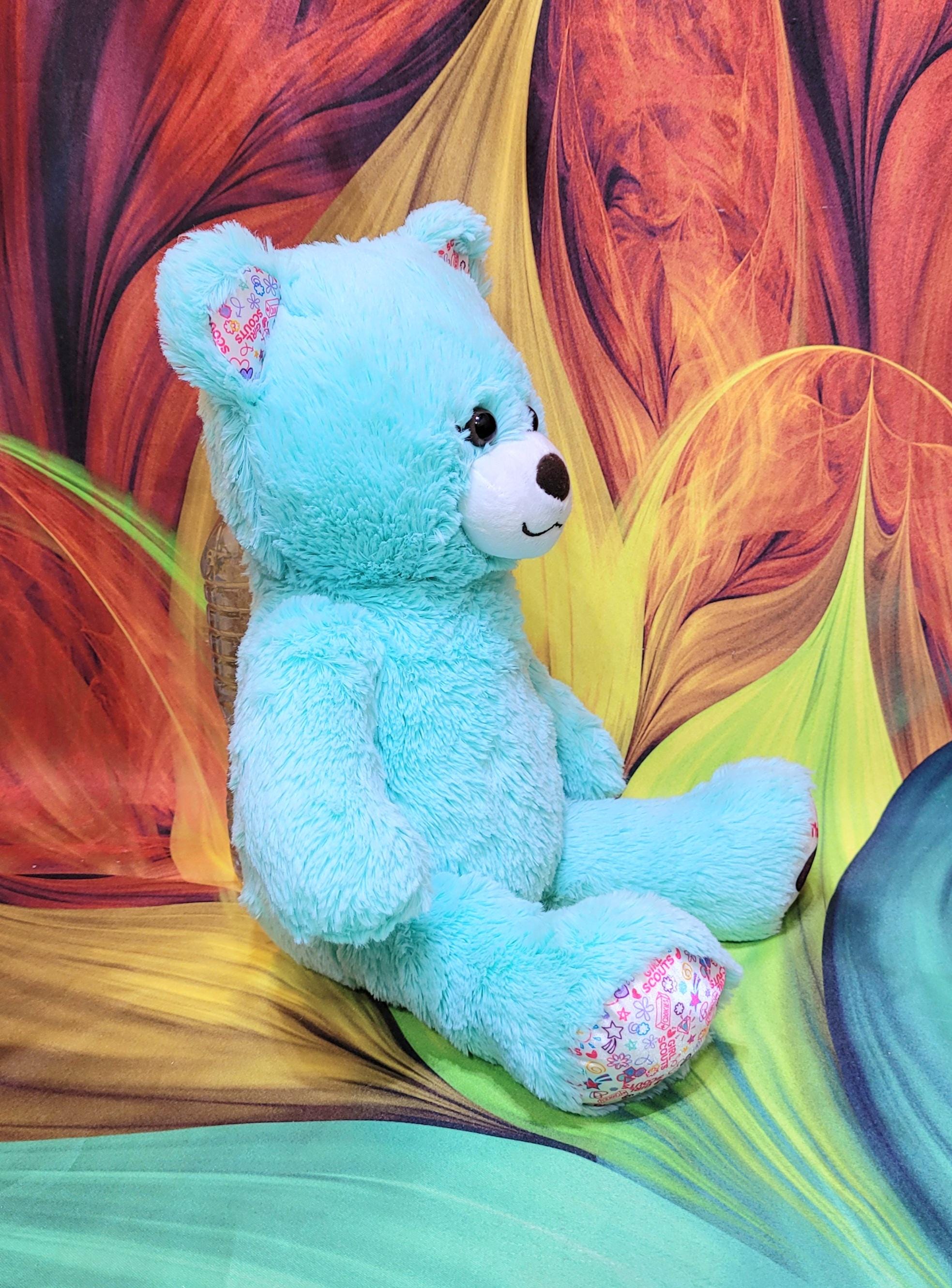Build A Bear Workshop Girl Scouts Thin Mints Cookie Teal 16