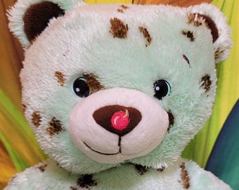 Build A Bear Baskin Robbins Mint Chocolate Chip Ice Cream 16