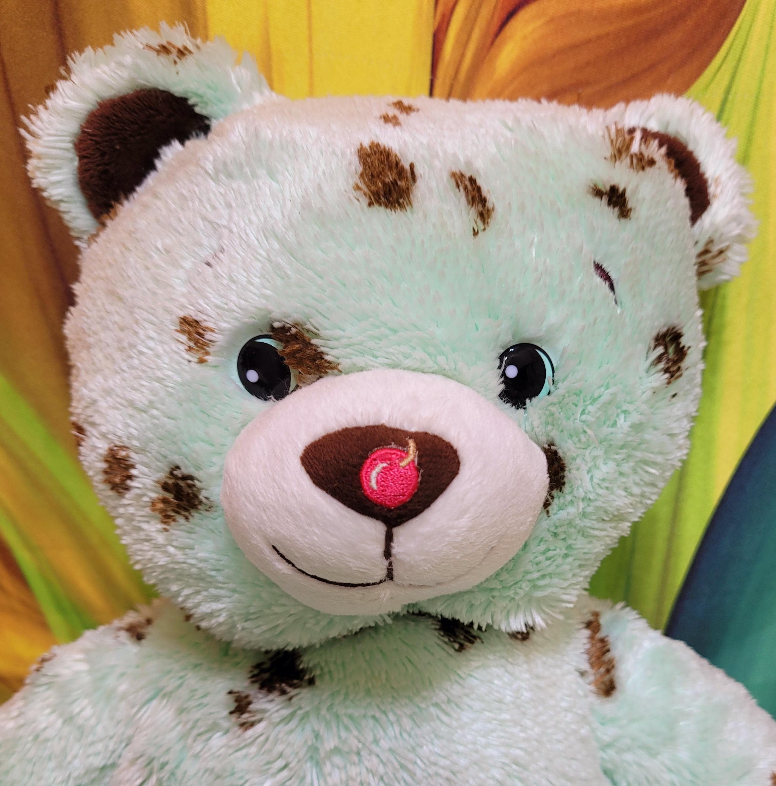 Build A Bear Baskin Robbins Mint Chocolate Chip Ice Cream 16