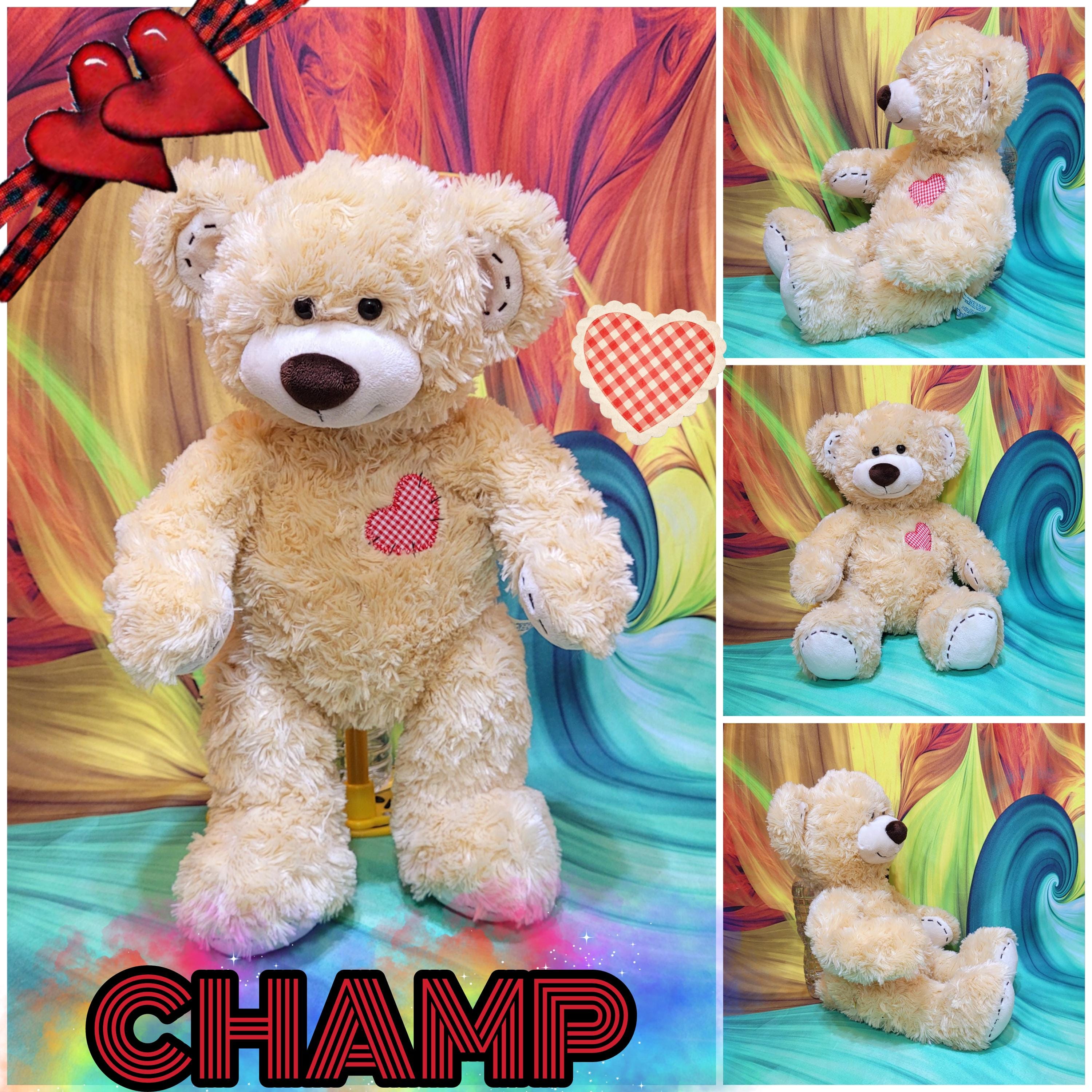 Build A Bear Champ Teddy Red White Checkered Heart 16