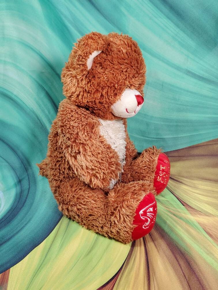 Build a Bear Disney High School Musical Movie 15