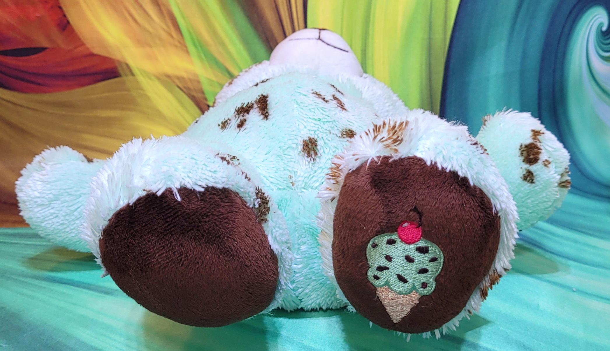 Build A Bear Baskin Robbins Mint Chocolate Chip Ice Cream 16