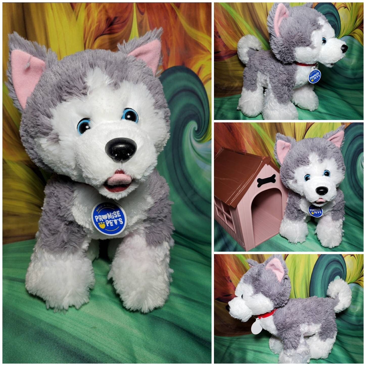 teddy bear husky puppies