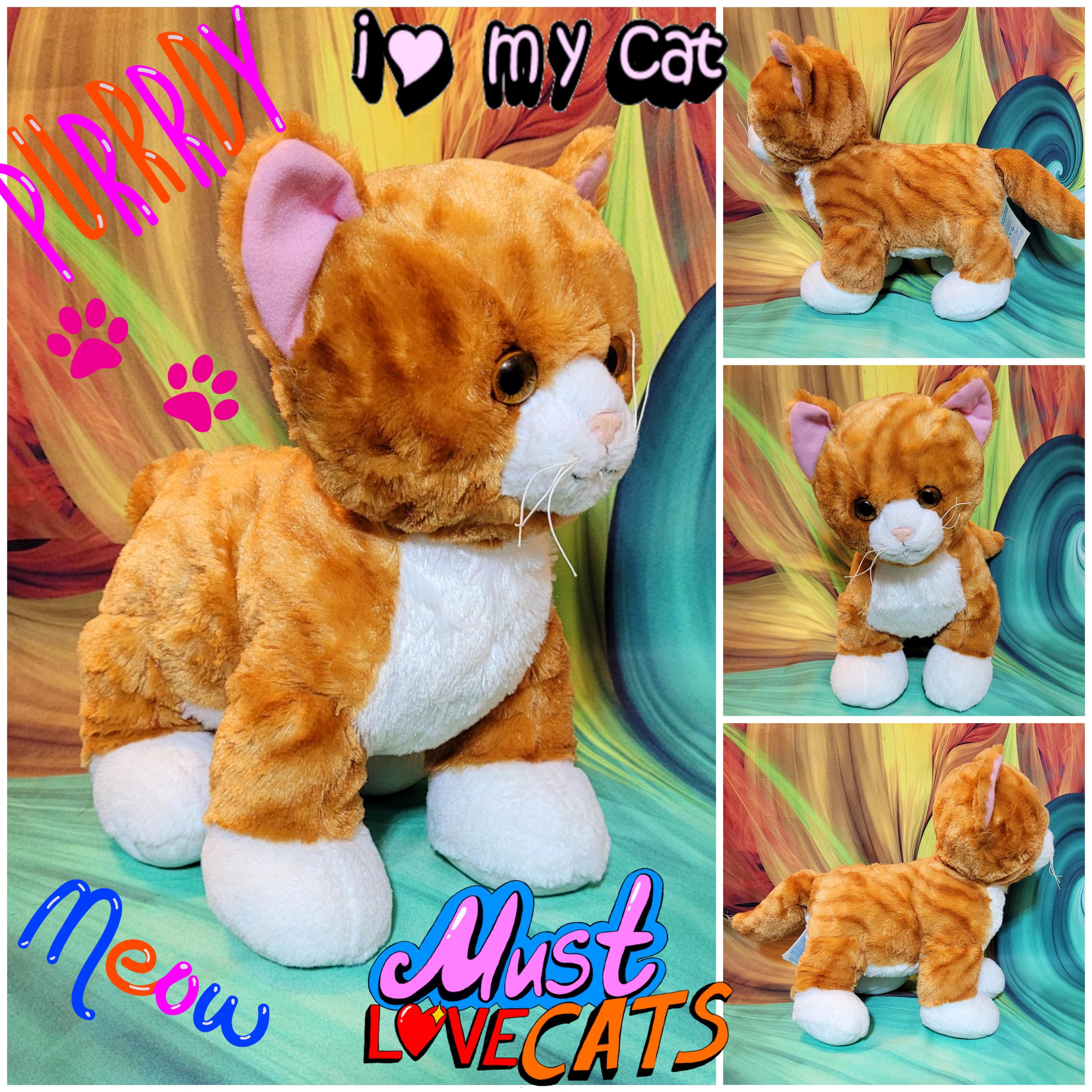 Build a Bear Workshop Promise Pets Orange White Tabby Cat 15