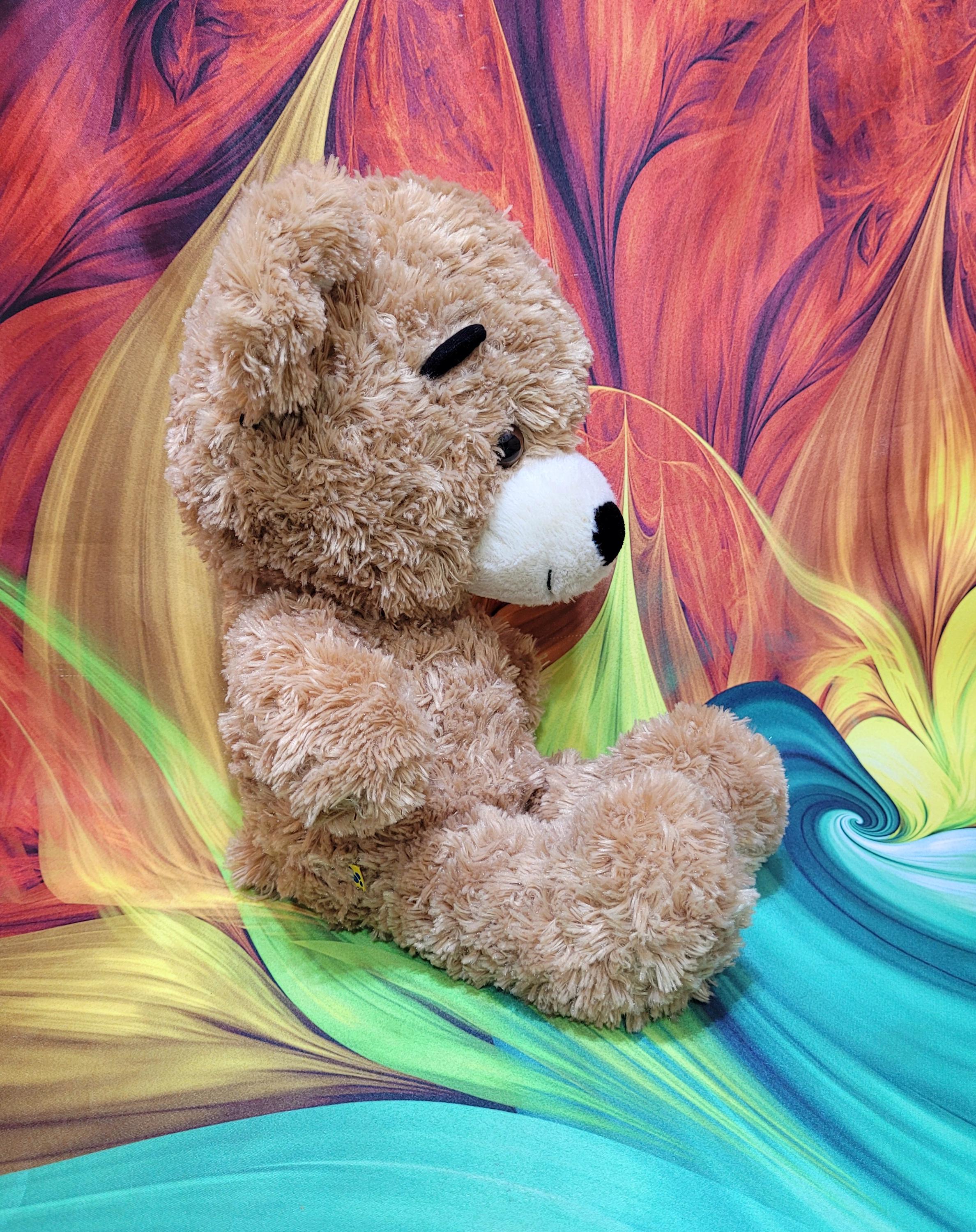 Build-a-bear Bearemy 2013 School Cool Big Head Shaggy Teddy 16