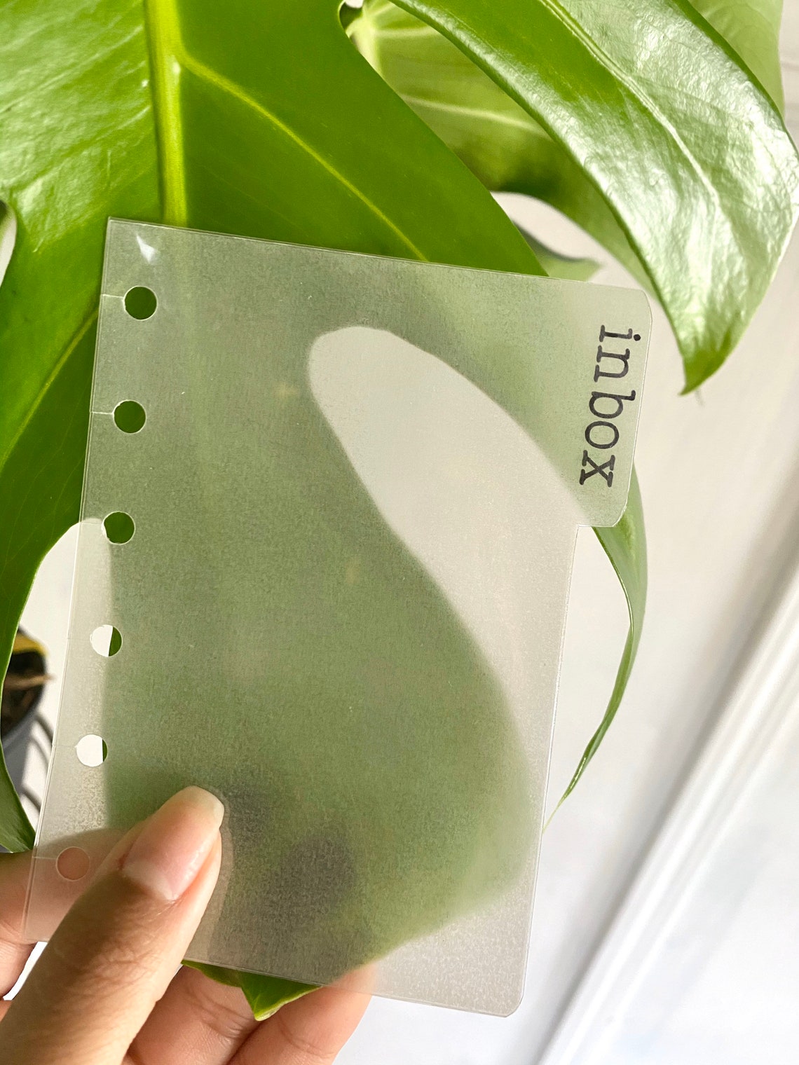 Simple Minimal Vellum Transparent Custom Planner Dividers Etsy