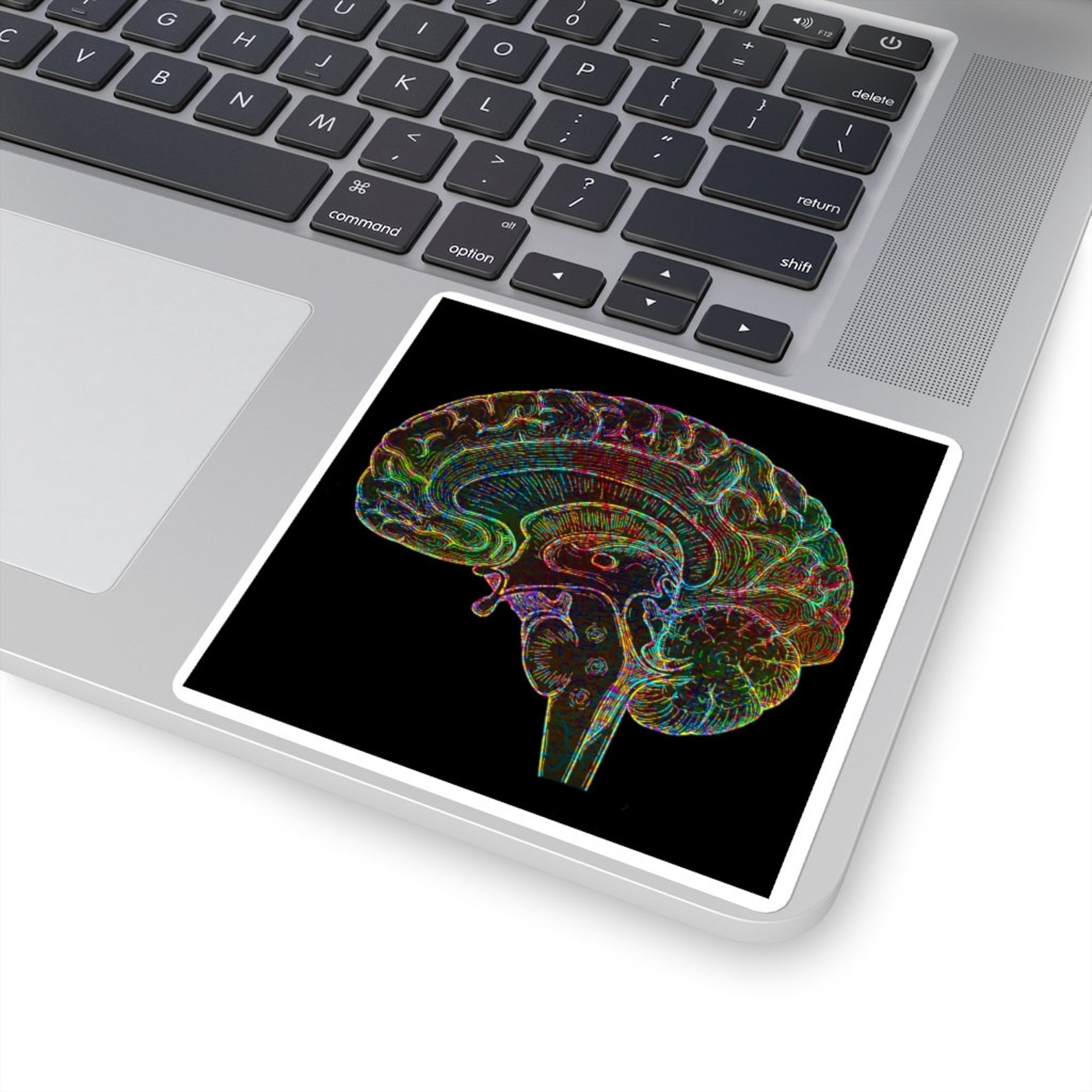Brain Anatomy Square Sticker | Etsy