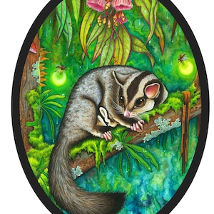 Raining Life - Australian Nature, Sugar Glider, Vinyl Sticker, Oval