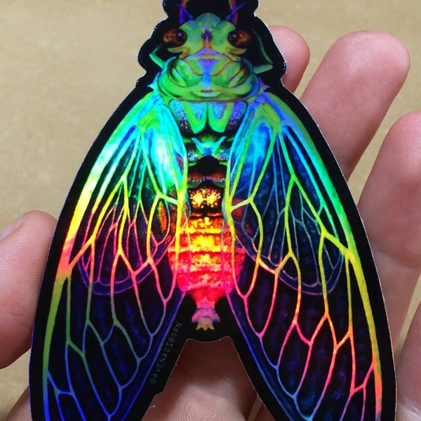 Holographic Cicada - Vibrant Watercolour, Psychedelic, Trippy Rainbow Holo Vinyl Sticker, Dye cut