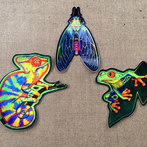 Holographic Trio Pack - Cicada/Frog/Chameleon - Rainbow, Psychedelic, Vibrant Nature, Vinyl Stickers.
