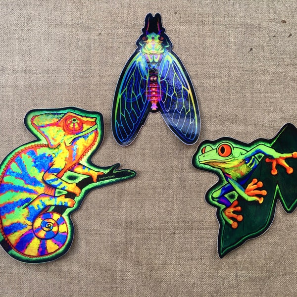 Holographic Trio Pack - Cicada/Frog/Chameleon - Rainbow, Psychedelic, Vibrant Nature, Vinyl Stickers.