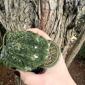 May include: A detailed, green jade frog sculpture with a coin in its mouth. The frog is carved with intricate details and sits on a black base. The coin features Asian characters. The sculpture is held in front of a tree trunk.