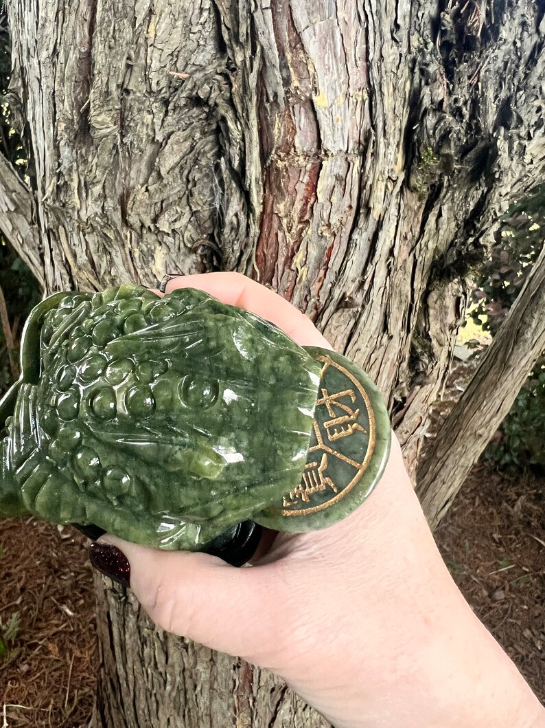 May include: A detailed, green jade frog sculpture with a coin in its mouth. The frog is carved with intricate details and sits on a black base. The coin features Asian characters. The sculpture is held in front of a tree trunk.