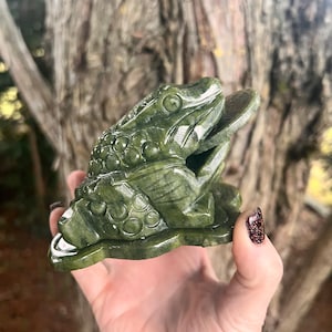 May include: A detailed, green jade frog sculpture. The frog is depicted with intricate carvings, holding a coin in its mouth. The sculpture has a glossy finish and sits on a base. The background is a blurred view of a tree trunk.