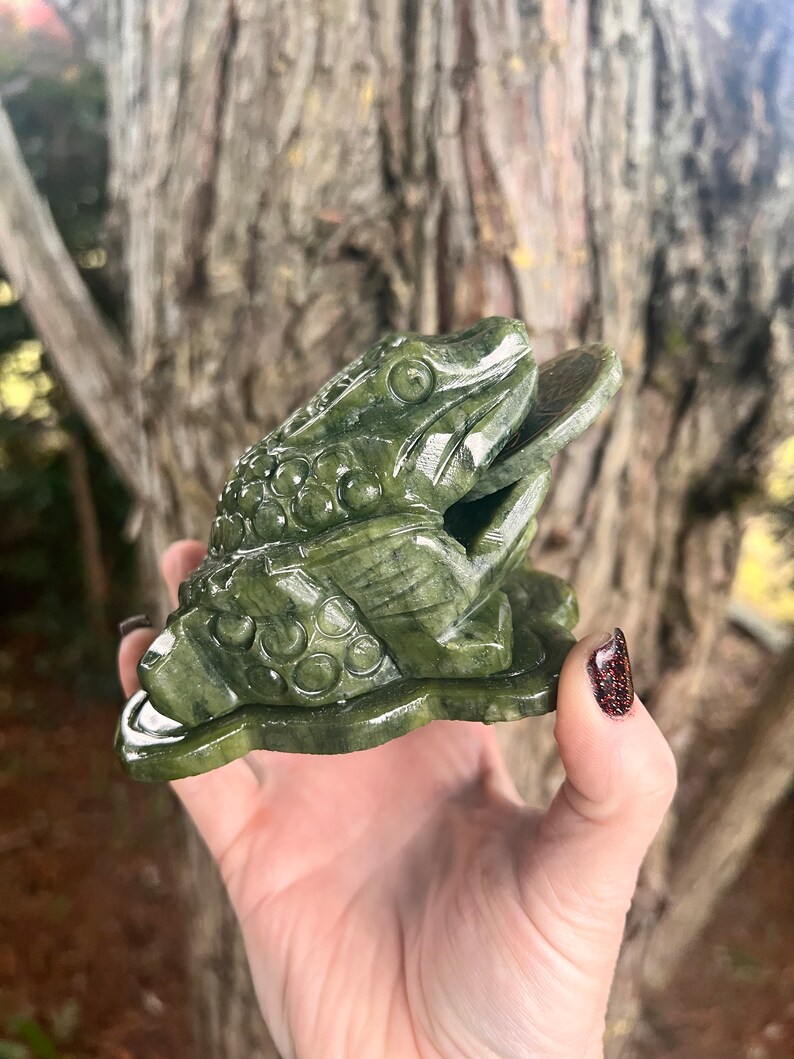 May include: A detailed, green jade frog sculpture. The frog is depicted with intricate carvings, holding a coin in its mouth. The sculpture has a glossy finish and sits on a base. The background is a blurred view of a tree trunk.