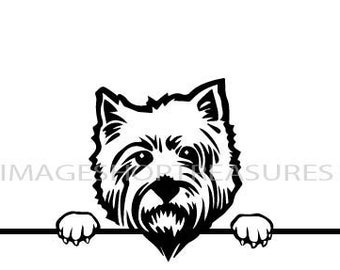 Yorkshire Terrier Peeking Yorkie Dog Breed Pedigree Purebred Animal Pet Hound Lap Teacup Puppy Logo .SVG .PNG Vector Cricut Cut Cutting