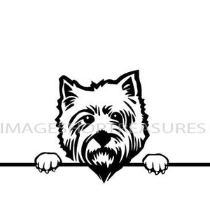 Yorkshire Terrier Peeking Yorkie Dog Breed Pedigree Purebred Animal Pet Hound Lap Teacup Puppy Logo .SVG .PNG Vector Cricut Cut Cutting