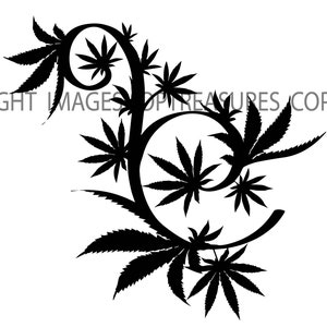 May include: Black and white silhouette of a stylized cannabis plant with leaves arranged in a swirling pattern.