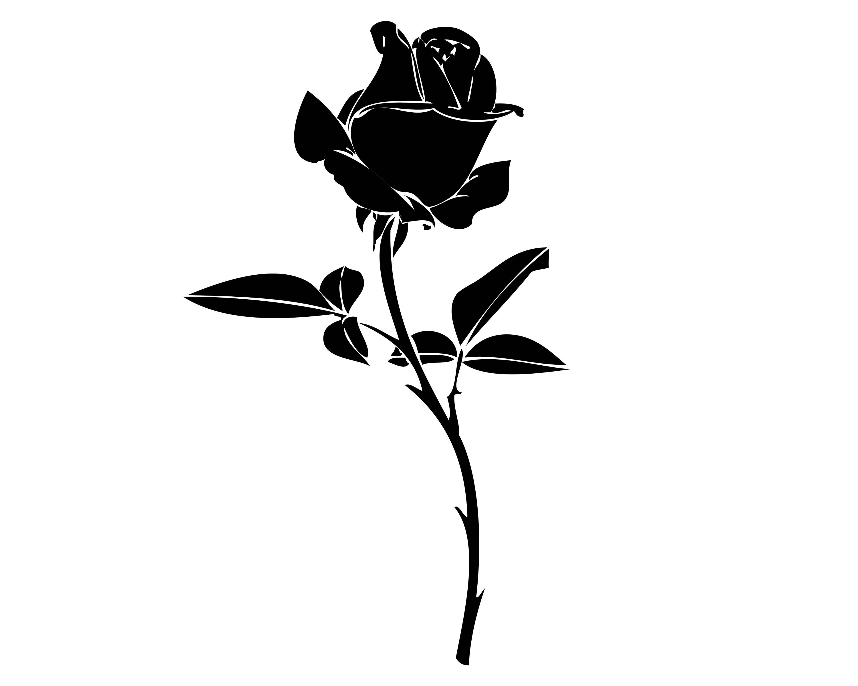 Rose Stem Silhouette Clip Art Image - ClipSafari