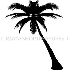 May include: Silhouette of a palm tree with a single trunk and a full crown of leaves.