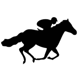 May include: Silhouette of a jockey riding a horse in full gallop.