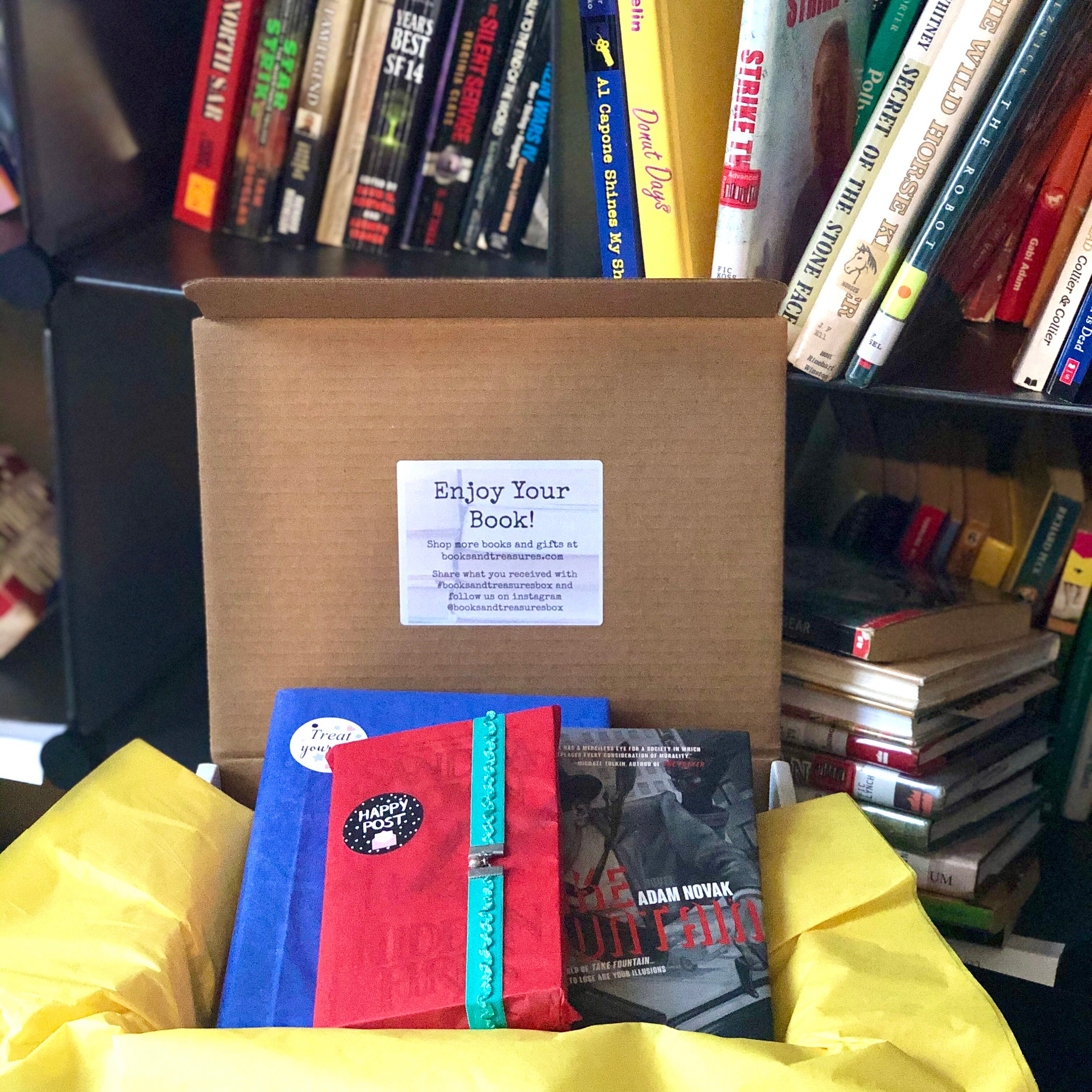 Vintage Book Mystery Box Just A Book Box Grab Bag Lucky Etsy