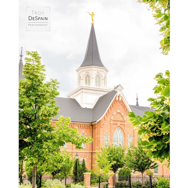 Provo City Center Temple - Digital Download (064)