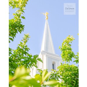 Brigham City Utah Temple - Digital Download (053)